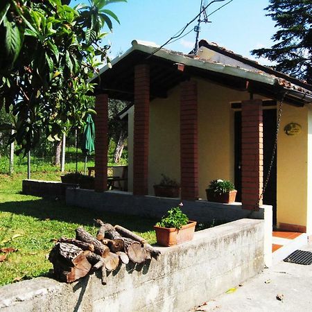 L'Albero Delle Noci Villa Ланчано Екстериор снимка